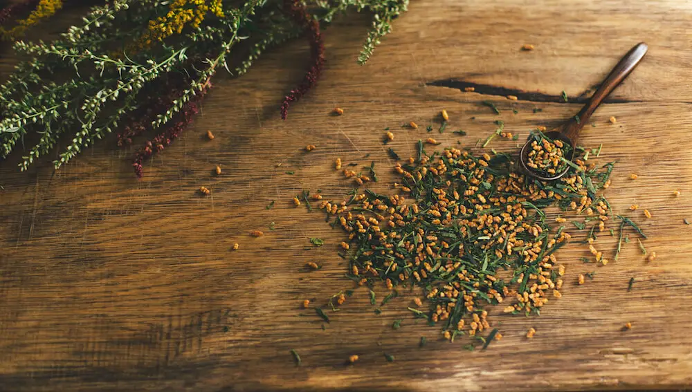 genmaicha tee wirkung
