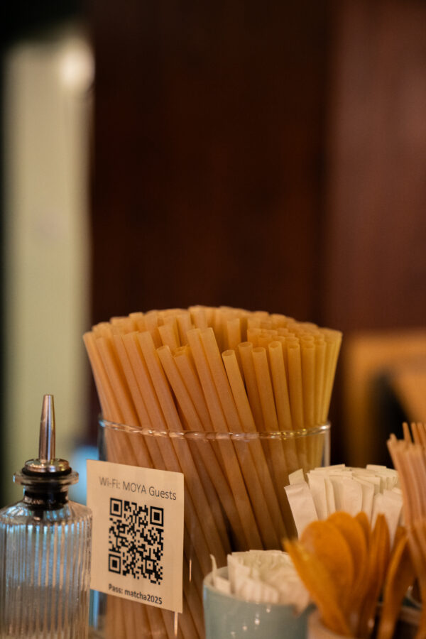 Słomki biodegradowalne 100szt.